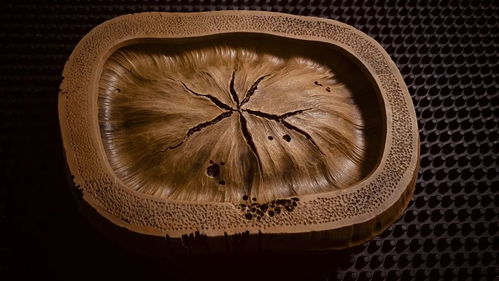 广东首批,粤西双星 湛江二人获国家 工艺美术品设计师 一级资质